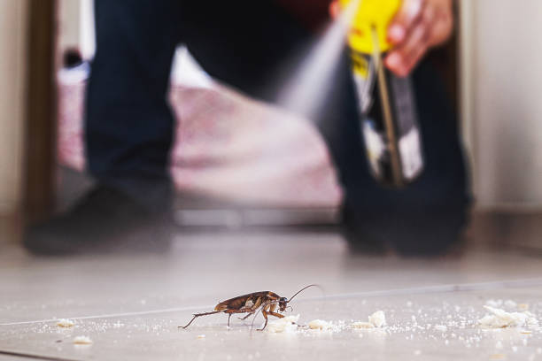 Pest Control Cost in Walkerton, IN